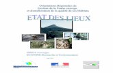 PREAMBULE 1 · ECOTONE L’état des lieux des ORGFH Auvergne – Août 2003 1 PREAMBULE Ce document a été élaboré à partir des documents et informations fournis par les personnes/structures