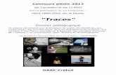 Dossier pédagogiqueclemi.ac-creteil.fr/IMG/pdf/dossier_pedagogique-Traces-livret-1.pdf · Nan Golding Nan one month after being battered, New York City, USA ,1984 . Eadwaerd Muybridge,