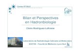 Bilan et Perspectives en Hadronbiologie · 2011-09-07 · Bilan et Perspectives en Hadronbiologie Claire Rodriguez-Lafrasse Laboratoire de Radiobiologie Cellulaire et Moléculaire