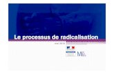 Le processus de radicalisations617077385.onlinehome.fr/wp-content/images/Documents...Mission interministérielle de vigilance et de lutte contre les dérives sectaires 2 Plan de l’intervention