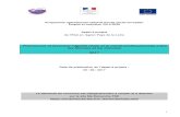 Promouvoir et favoriser l’égalité réelle et la mixité ...pays-de-la-loire.direccte.gouv.fr/sites/pays-de-la-loire...2017/06/29  · La loi n 2014-288 du 5 mars 2014 relative