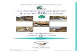 Mars 2008 · 2013-02-07 · Suivi ornithologique 2007 Réserve Naturelle des Îlets de Sainte Anne - MARTINIQUE Rapport de l’association Le Carouge Mars 2008 SUIVI ORNITHOLOGIQUE