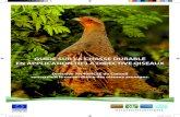 GUIDE SUR LA CHASSE DURABLE EN APPLICATION DE LA …ec.europa.eu/environment/nature/conservation/wildbirds/... · 2016-05-27 · ©MEEDDAT/DICOM photo Bernard Suard Le Commissaire