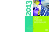 Bilan maîtrise des risques 2013 - Accueil - De la ...€¦ · conduire la politique de maîtrise des risques du CEA et pour définir le programme d’audits et d’inspections, élément