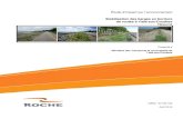 Stabilisation des berges en bordure de routes à l’Isle …Fichier : 57146_C1-1 ZEE resume_100413.WOR Limite de la zone d'étude élargie Tronçons visés Étude d'impact sur l'environnement