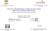 CRYSTAL ENGINEERING OF MULTIFUNCTIONAL MOLECULE … Andruh.pdf10.00 t 10.40 Jean -Pascal Sutter H -Bond Stitched Nano-Porous Molecular Framework Materials 10.40 - Coffee break, social
