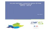 PLAN SPORT SANTE BIEN-ÊTRE Région PACA 2013 - 2016paca.drdjscs.gouv.fr/.../PLAN_SPORT...2013-2016_3_.pdf · 1.2.2 Le cycle de conférences interprofessionnelles « sport santé