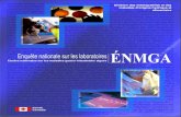 Rapport de l™enquŒte nationale - canada.ca · Rapport d™enquŒte sur les laboratoires ÉNMGA - 2001 3 Rapport de l™enquŒte nationale sur les laboratoires - 2001 Études nationales