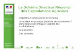 Le Schéma Directeur Régional des Exploitations · PDF file Le Schéma Directeur Régional des Exploitations Agricoles Les priorités. 14 DRAAF Bretagne SDREA : réunions départementales