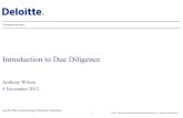 Introduction to Due Diligence - boun.edu.trweb0.boun.edu.tr/mine.ugurlu/Due Diligence-2012.pdf · – Tailor terms of reference • Various approaches to a quick appraisal ... Memorandum