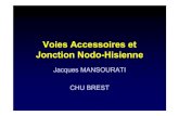 Voies Accessoires et Jonction Nodo-Hisiennepacingrp.online.fr/DIU/VA et jonction NH J. Mansourati (Brest).pdf · •La racine antéro-supérieure est une voie rapide : courte et directe