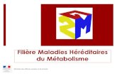 FilièreMaladies Héréditaires du Métabolisme1 Appel à projet selon INSTRUCTION N DGOS/PF2/2013/ 306 du 29 juillet 2013 relative à la structuration des filières de santé maladies