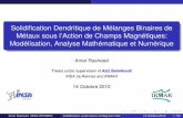 Solidification Dendritique de Mélanges Binaires de Métaux ... · Amer Rasheed (INSA RENNES) Solidiﬁcation under action of Magnetic ﬁeld 14 Octobre 2010 15 / 50 Part-I : Modeling