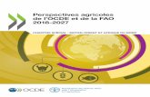 Perspectives agricoles de l’OCDE et de la FAO Perspectives … · 2019-10-17 · Perspectives agricoles de l’OCDE et de la FAO 2018‑2027 ChAPitrE sPéCiAl : MOyEn‑OriEnt Et