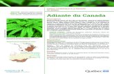 NOM LATIN : Adiante du Canada · — Flora of North America. 1993. Flora of North America: North of Mexico. Volume 2: Pteridophytes and Flora of North America: North of Mexico. Volume