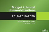 Budget triennal d'immobilisations · 2018-2019-2020 Séance spéciale du conseil 18 décembre 2017 Budget triennal d'immobilisations