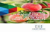 A GLOBAL STRATEGY FOR THE CONSERVATION AND USE OF … · germplasm. Breeding programs may maintain their own collections, but often they acquire new materials from public apple genebanks.