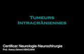 Tumeurs Intracrâniennes - epathologies 1110.pdf · Classification des Tumeurs du SNC (OMS mod.) •Tumeurs Gliales •Tumeurs Glio-neuronal •Tumeurs Embryonnaires •Tumeurs des