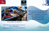 Aperçu sur le secteur de la pèche artisanale au … › fr › files › actualites › doc_actuali...global en atlantique, gel de la capacité de despêche en Méditerranée…
