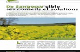 JUIN 2016.pdf · anti-limaces France chez De Sangosse. Quant à 2016, après l'hiver très doux et l'absence de gelée, la pression est déjà plus précoce et élevée au printemps.