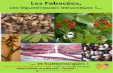 Les Fabac es PDF - Amicale des jardiniers du Puy-Mézierjardiniers-apm.com › documents › LesFabaceesPDF.pdf · Les fabacées vivent en symbiose avec des bactéries du genre Rhizobium