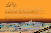 COURS AVANCÉ DE CHIRURGIE PERCUTANÉE DES …grecmip.org/images/courses/GRECMIP_Course_Marseille_WEB.pdf · 2018-12-14 · LA CHIRURGIE RÉGÉNÉRATIVE DE L'AVANT-PIED DANS LE CADRE