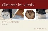 Observer les sabots - PIEDSdENFERpiedsdenfer.fr/downloads/observersabots.pdf · 2014-11-26 · Les sabots des chevaux sont une petite merveille de la nature, forgée par des millions