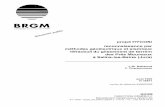 BRGMinfoterre.brgm.fr/rapports/RR-38571-FR.pdf · 2007-12-04 · - 1 enregistreur sismique numérique ABEM Terralo c MKIII, 24 traces, - 1 enregistreur sismique numérique BRGM SM24