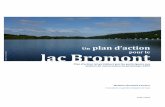 Un plan d’action lac Bromont - Lac Bromont - Lac Bromont · Un plan d’action lac Bromont pour le Plan d’action tel qu’élaboré par les participants aux ateliers de concertation