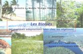 Les Biomes - cours, examens · 2017-07-05 · Les principaux biomes terrestres : ... •Nord Chine •Japon ; Corée •Nouvelle Zélande . Vaisseaux et anneaux de croissance (Dicotylédone)