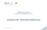 ANALYSE TRANSVERSALE - Agence pour l'evaluation de la ... · Le Parlement de la Communauté française a adopté le 25 mai 2011 une résolution visant le remplacement de l’appellation