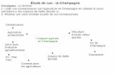 Étude de cas : la Champagne : en binôme · Étude de cas : la Champagne ... Cavaillon sur l’axe autoroutier sud/nord et est/ouest. – Un climat méditerranéen favorisant les
