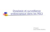 Dysplasie et surveillance endoscopique dans les MICIhepatoweb.com/DES/exposes/DES3_2011_SOBHADI/BOUEYRE.pdf · 2011-05-07 · Epidémiologie MICI=Problème de santé publique Fréquence