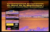 La Communauté de Communes du Nord de la Martinique : Vers ... · La Communauté de Communes du Nord de la Martinique : Vers un nouvel élan économique Avant-propos. 2 omposé de