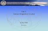 Cap 2. Campo Magnético Crustalecfont/wp-content/...Os minerais portadores da magnetização secundária Magnetita euhedral, carbonatos paleozóicos (Missouri, USA) Sun & Jackson (1994).