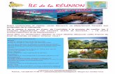 ÎLE de la RÉUNION - PICVERT MONTAGNE · Jour 1 - Vol international France – Réunion En fonction des horaires de vol réservé. Jour 2 - Arrivée sur l’île Vous arrivez dans