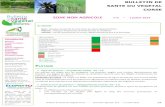 ZONE NON AGRICOLE 1 juillet 2014 A retenir€¦ · Bulletin de Santé du Végétal Corse – Zone Non Agricole N°3 – 1er juillet 2014 3/6 Galéruque de l’orme – ... 21 26 22