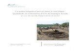 La petite irrigation privée dans le sud Niger : potentiels ... · La petite irrigation privée dans le sud Niger : potentiels et contraintes d’une dynamique locale Le cas du sud
