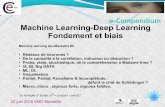 Machine Learning-Deep Learning Fondement et biaisfiles.meetup.com/19203187/FondetBiaisMLDLonline.pdf · Machine Learning-Deep Learning Fondement et biais Machine learning Aix-Marseille