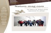 Mensuel-Gratuit Naturo-mag - WordPress.com · Autrefois, on les broyait pour donner aux volailles et aux cochons. Un de mes amis séche les sommités des jeunes orties pour les ajouter