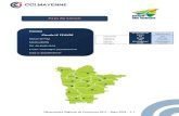 Pays de Loiron - Mayenne...Observatoire Régional du Commerce 2017 – Mars 2018 - P. 1 Département Communes 14 254 Habitants 16 928 307 940 Superficie 252 5 175 km² Densité 67,2
