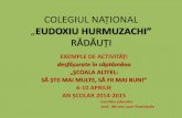 COLEGIUL NAȚIONAL EUDOXIU HURMUZACHI · EXEMPLE DE ACTIVITĂȚI desfășurate în săptămâna „ȘCOALA ALTFEL: SĂ ȘTII MAI MULTE, SĂ FII MAI BUN!” 6-10 APRILIE AN ȘCOLAR