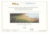 Scanned Documentcfs.nrcan.gc.ca/pubwarehouse/pdfs/22750.pdf · 2011-10-14 · Sylvie Gauthier, Patrick Lefort, Yves Bergeron and Pierre Drapeau Laurentian Forestry Centre Information