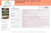 BULLETIN DE SANTE DU VEGETAL Arboriculture · 2020-05-26 · BULLETIN DE SANTÉ DU VÉGÉTAL Arboriculture – Édition Midi-Pyrénées N°16 DU 19 MAI 2020 – Page 2 sur 9 Dégâts