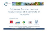 Séminaire Energies marines Renouvelables et Biodiversité en … · Potentiel et projets EMR à l’Outre-mer • Soutenir la réalisation d’une caractérisation fine des potentiels