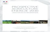 ProsPective Agriculture Énergie 203037.235.92.116/IMG/pdf/CEP-Agriculture_Energie_2030-RapportCompl… · Pour citer ce rapport, merci d’utiliser la référence suivante : vert