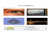 Les Calques - photo.imathis.free.frphoto.imathis.free.fr/doc/Les_Calques.pdf · permet de conserver tous les attributs des objets graphiques (couleur, épaisseur, style etc.…).