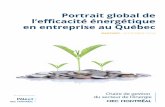 Portrait global de l’efficacité énergétique en …energie.hec.ca/wp-content/uploads/2016/09/PGEEEQ2016.pdfPortrait global de l’efficacité énergétique en entreprise au Québec