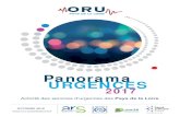 Panorama URGENCES 2017 - ORU Pays de la Loire · Citation suggérée ORU Pays de la Loire. (2018). Panorama Urgences 2017. Ac tivité des services d'urgences des Pays de la Loire.
