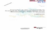 Rapport final - InfoTerreinfoterre.brgm.fr/rapports/RP-60310-FR.pdfProposition de sites représentatifs du Stratotype du Turonien entre Chinon (37) et Montrichard (41)- Projet SCAP